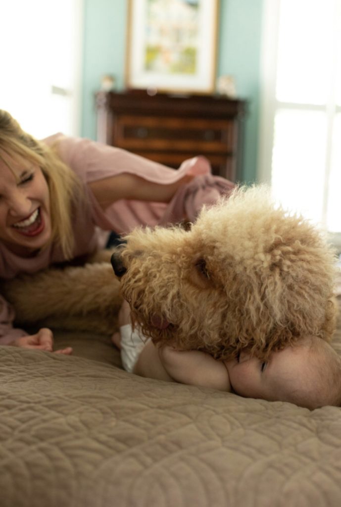 Who doesn't love a furry Goldendoodle? When we were bringing our daughter home from the hospital for the first time, we knew this would set the tone for our dog's relationship with our newborn. It is important to be gentle and deliberate when introducing your dog to your new baby